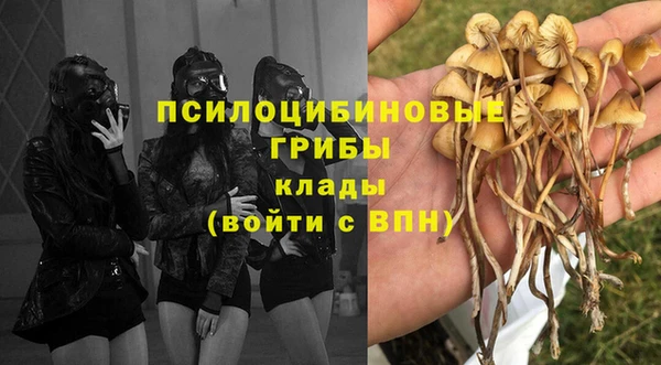 гашик Алзамай
