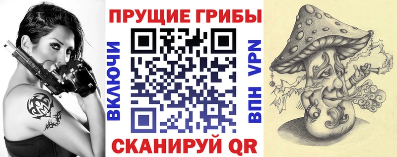 Галлюциногенные грибы Cubensis  omg онион  Перевоз 